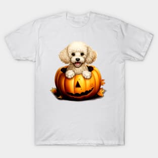 Poodle Dog inside Pumpkin #2 T-Shirt